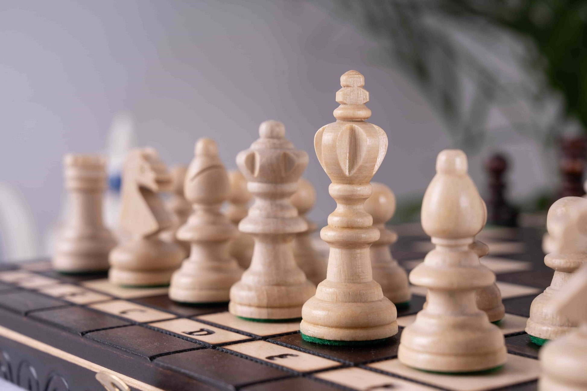 'Distinguished' Chess Set <br>in Hornbeam Wood