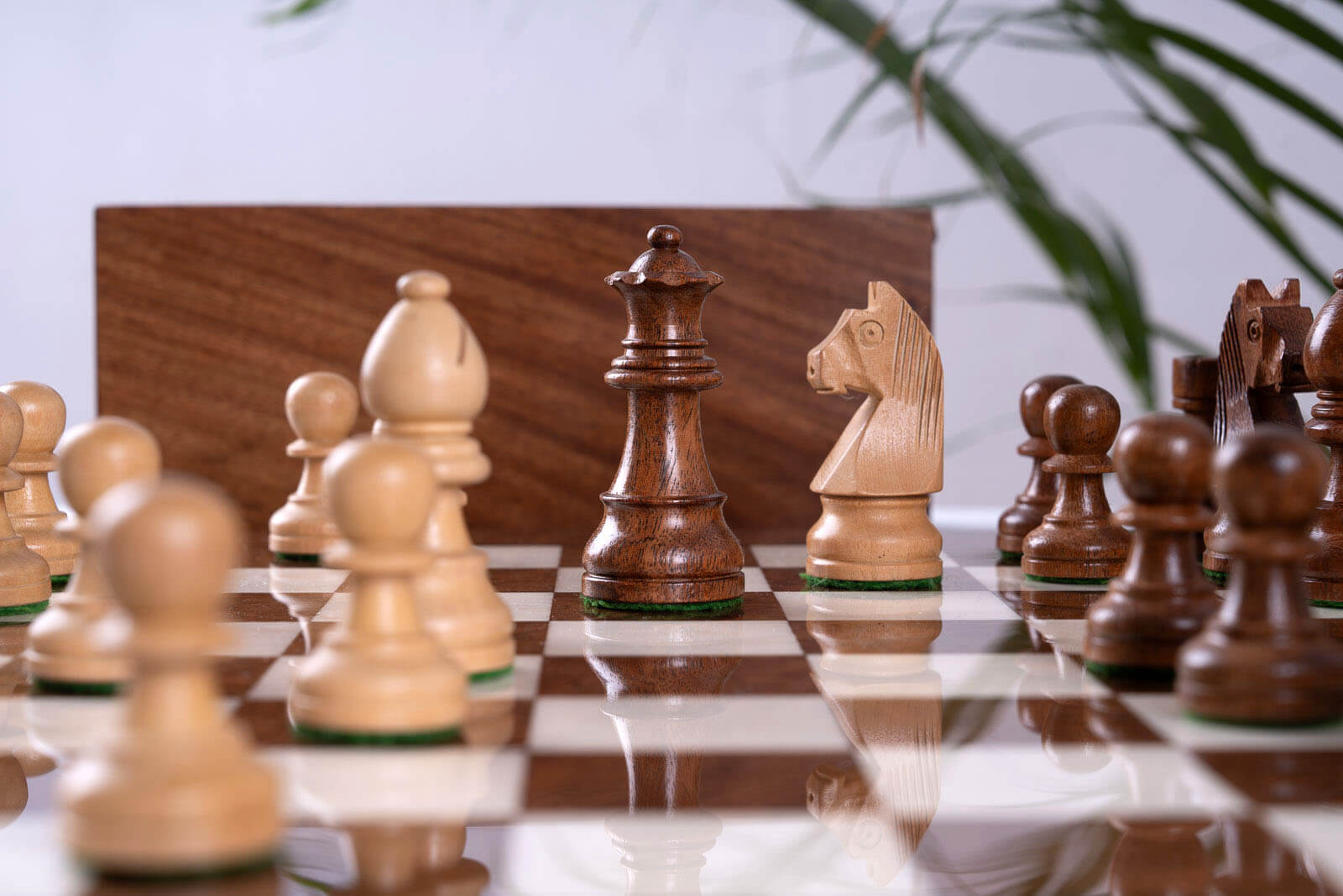 Supreme Chess Set <br>in Ash and Boxwood