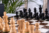 Hegemonic Chess Set <br>in Ash and Boxwood