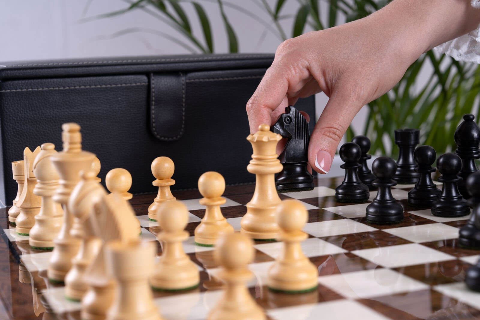 Reflective Chess Set <br>in Ash and Boxwood