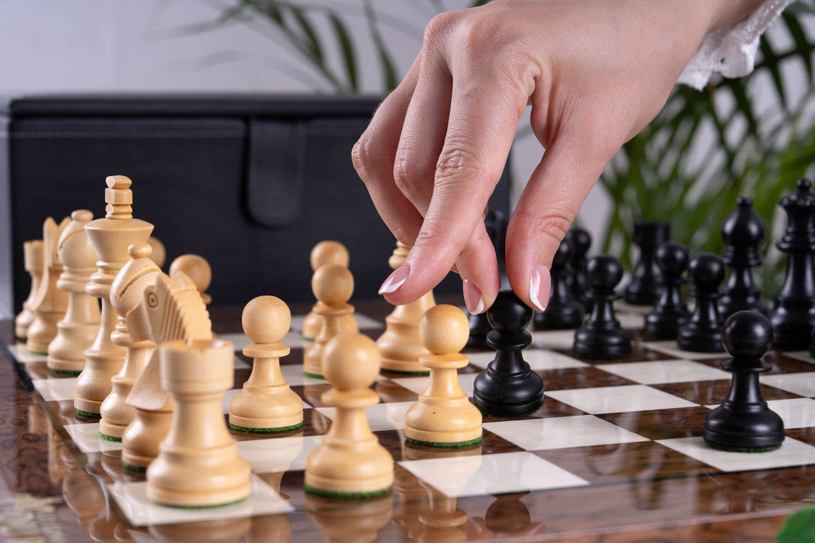 Reflective Chess Set <br>in Ash and Boxwood