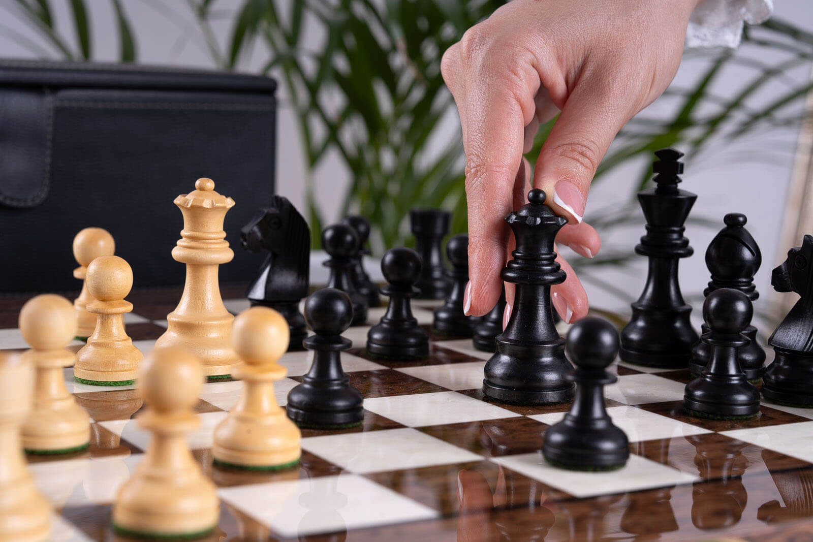 Reflective Chess Set <br>in Ash and Boxwood