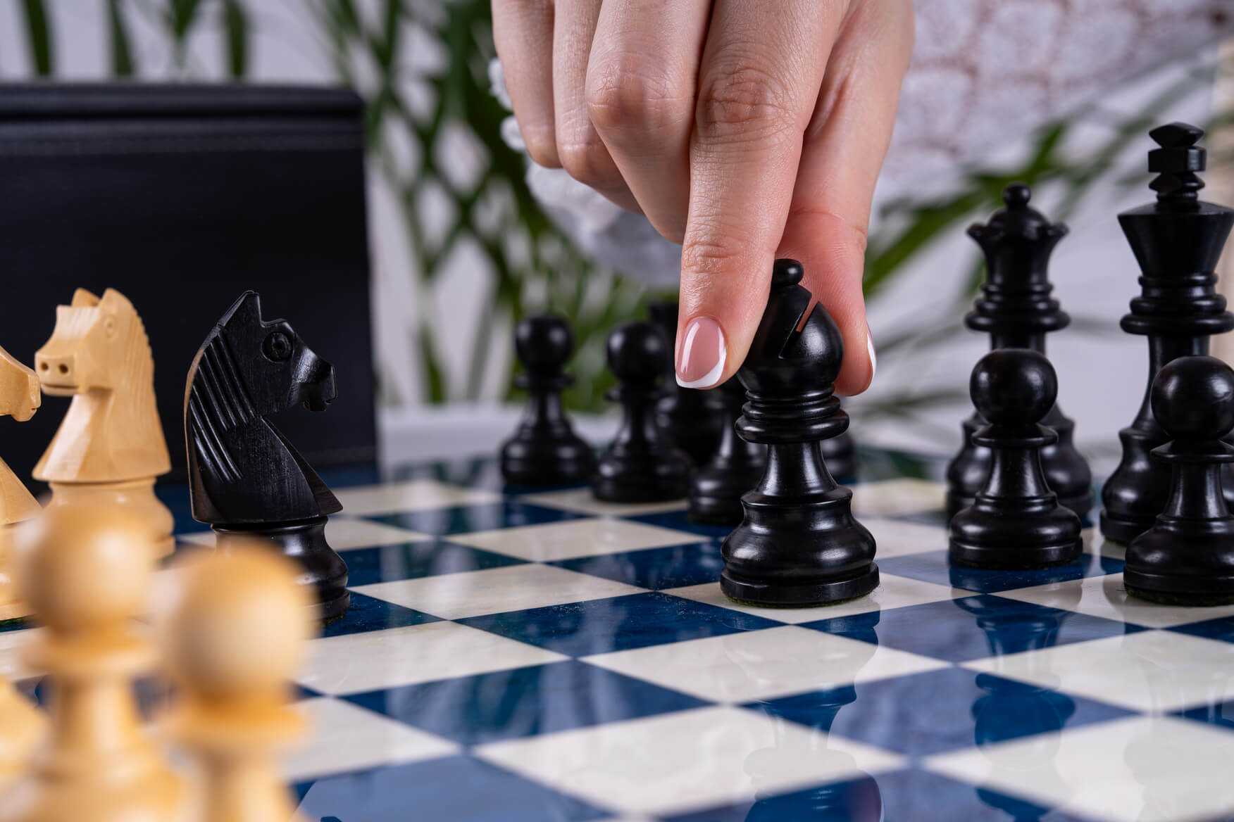 Sapphire Chess Set <br>in Ash and Boxwood