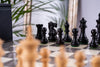 Emblem Chess Set <br>in Ash and Boxwood